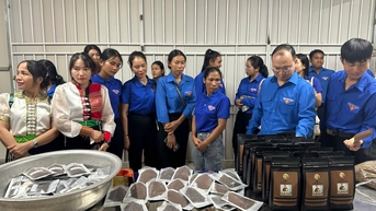 ទស្សនា និងស្វែងយល់អំពីគំរូចាប់ផ្តើមអាជីវកម្មរបស់យុវជនជនជាតិភាគតិចនៅ Dak Lak