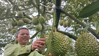 រក្សាកូដតំបន់ដែលកំពុងរីកចម្រើន ដើម្បីរក្សាស្ថិរភាពទីផ្សារនាំចេញ