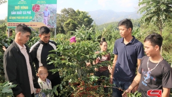 Phát huy lực lượng tiên phong trong phát triển nông nghiệp bền vững