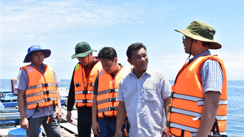 Ngành Nông nghiệp và Môi trường Cà Mau: Vững bước về đích năm 2025 với nhiều kết quả nổi bật