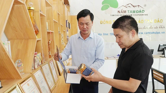 Chuyện khởi nghiệp của những “ông chủ trẻ”