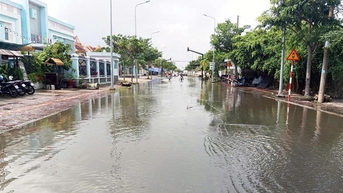Chủ tịch UBND tỉnh chỉ đạo: Chủ động ứng phó với mưa lớn, triều cường để bảo đảm an toàn cho người dân và sản xuất