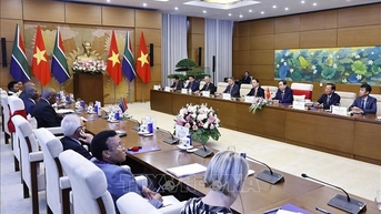 ធ្វើឱ្យកិច្ចសហប្រតិបត្តិការសភាជាសសរស្តម្ភនៃទំនាក់ទំនងទ្វេភាគីវៀតណាម-អាហ្វ្រិកខាងត្បូង