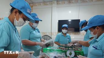 Vĩnh Long bứt phá thành điểm đến của thương mại số vùng Đồng bằng sông Cửu Long