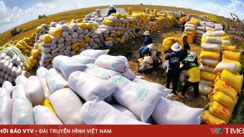 Gạo Việt "thâm nhập" thị trường Singapore