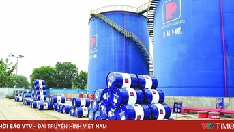 Duy trì thuế môi trường thấp: Lợi ích kinh tế và bài toán phát triển xanh