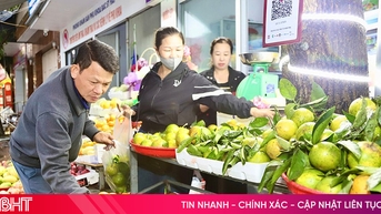 Cam chanh đầu mùa “xuống phố”