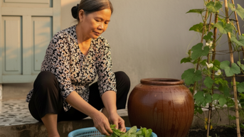 Nhớ thương ảng nước sau hè
