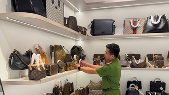 Đà Nẵng thành lập Ban Chỉ đạo chống buôn lậu, gian lận thương mại và hàng giả