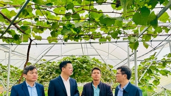 Thực hiện tốt Chương trình mục tiêu quốc gia tại xã Yên Xuân