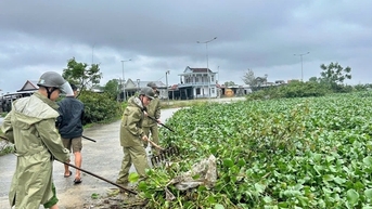 Nhiều đầm phá, sông ngòi ở Huế "nghẹt thở" vì... bèo lục bình