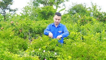 Đoàn xã Tiên Hưng đồng hành cùng đoàn viên, thanh niên lập thân, lập nghiệp