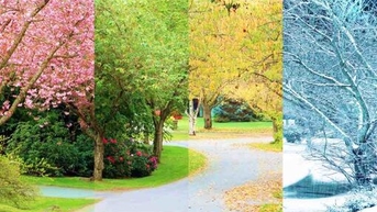 បំផុសគំនិតដោយ Seasonal Space