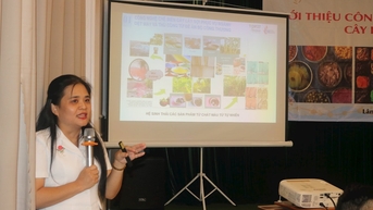 Chế biến vải sợi từ thân chuối