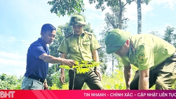 Hà Tĩnh phấn đấu trồng mới hơn 9.300 ha rừng