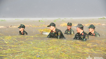 Lũ lớn ở vùng Đồng Tháp Mười, tỉnh Tây Ninh: Bộ đội, dân quân sát cánh giúp nhân dân