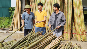 Bắc Ninh: Giữ lửa nghề tre trúc Xuân Lai