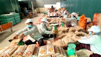 ការ​លើក​កម្ពស់​ឧស្សាហកម្ម​នៅ​តំបន់​ភាគ​ខាង​ត្បូង​លើក​កម្ពស់​ការ​បង្កើត​ថ្មី និង​ការ​អភិវឌ្ឍ​ប្រកប​ដោយ​ចីរភាព។ សំណើដើម្បីកាត់បន្ថយដំណើរការអនុម័ត និងការបញ្ចេញទុនជំរុញឧស្សាហកម្ម។