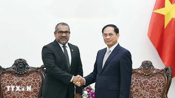 Việt Nam và Maldives tăng cường hợp tác đối ngoại và kinh tế