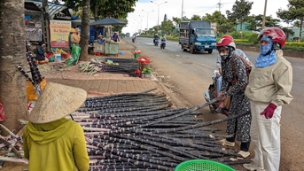 Chợ 9 tỉ bỏ hoang chục năm, chợ tự phát tràn ra quốc lộ 14, tiểu thương 'né' thuê và thuế?