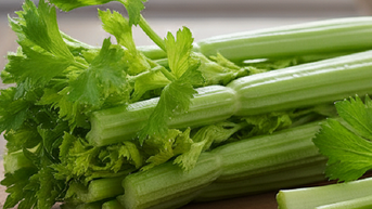 4 loại rau giúp cơ thể thải độc tế bào