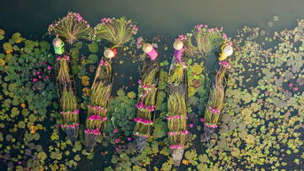 ពណ៌ស្វាយ Tam Coc - គំនូរវេទមន្តនៅកណ្តាលទីក្រុង Ninh Binh