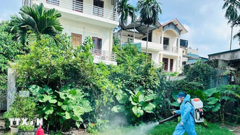 Xử lý kịp thời các ổ dịch, ngăn chặn sốt xuất huyết lây lan