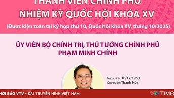 [Infographic] Thành viên Chính phủ nhiệm kỳ Quốc hội khóa XV