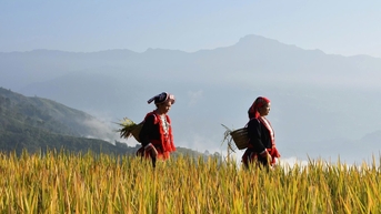 Lô Lô Chải - Làng du lịch tốt nhất thế giới