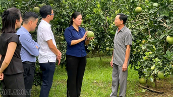 Lâm Giang nhân rộng mô hình thi đua “Dân vận khéo”
