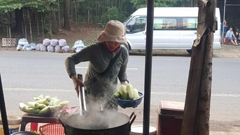 Ngọt ngây bắp luộc ở núi