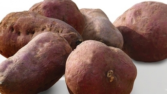 ហេតុផល 5 យ៉ាងដែលដំឡូងផ្អែមគឺជាអាហារដ៏អស្ចារ្យ