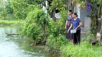 Hội Nông dân xã Cẩm Giang phấn đấu mỗi năm 50% số hộ hội viên đạt danh hiệu sản xuất, kinh doanh giỏi