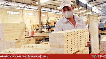 សហគ្រាសឈើវៀតណាមស្វែងរកទិសដៅថ្មីក្នុងទីផ្សារអាមេរិក