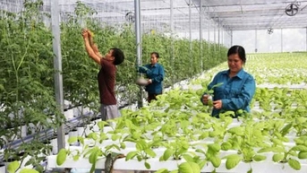 Thúc đẩy KH,CN để đặt mục tiêu tăng trưởng cao và giảm phát thải