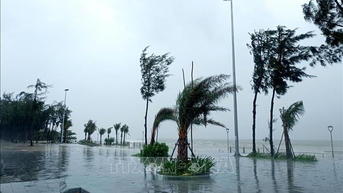 Các tỉnh miền Trung chủ động ứng phó mưa lớn kéo dài