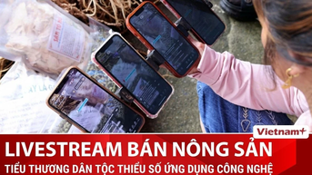 Nông sản vùng cao thành “mỏ vàng” thu nhập nhờ ứng dụng công nghệ số