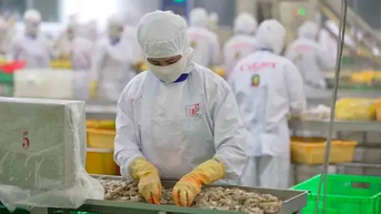 វៀតណាម-អាមេរិកយល់ព្រមប្រកាសសេចក្តីថ្លែងការណ៍រួមស្តីពីពន្ធទៅវិញទៅមក