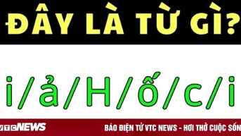 Vua Tiếng Việt mới tìm được đáp án chính xác cho câu hỏi này