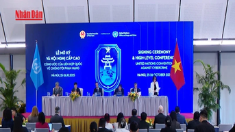 [Video] Bảo đảm Công ước Hà Nội được thực thi sớm