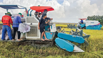 Nỗ lực khơi thông nguồn vốn cho thực hiện Đề án 1 triệu héc-ta lúa