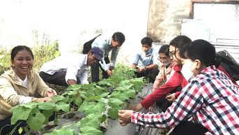 Hỗ trợ phát triển sản xuất nông nghiệp