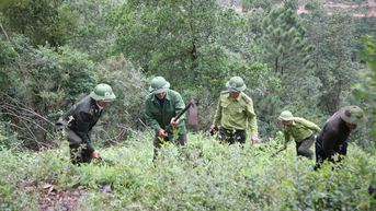 Yên Dũng phòng ngừa cháy rừng mùa hanh khô