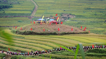 Miền Đồi thơ mộng