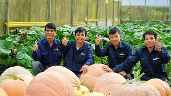 Tăng trưởng ngành trồng trọt qua từng đề án