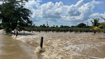 Mưa lớn gây ảnh hưởng nhiều khu vực Đông Nam Lâm Đồng, cảnh báo lũ trên sông Lũy