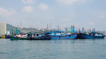 Chủ tịch xã, phường bị phê bình do chưa quyết liệt chống khai thác IUU