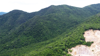 Chuyển đổi hơn 80ha đất rừng để phục vụ 7 dự án tại Gia Lai
