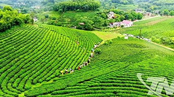 Thái Nguyên khai thác tiềm năng du lịch xanh