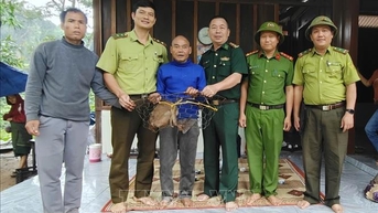 Tiếp nhận từ người dân một con khỉ đuôi lợn thuộc nhóm nguy cấp, quý hiếm